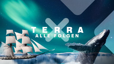 Terra X Welt 
