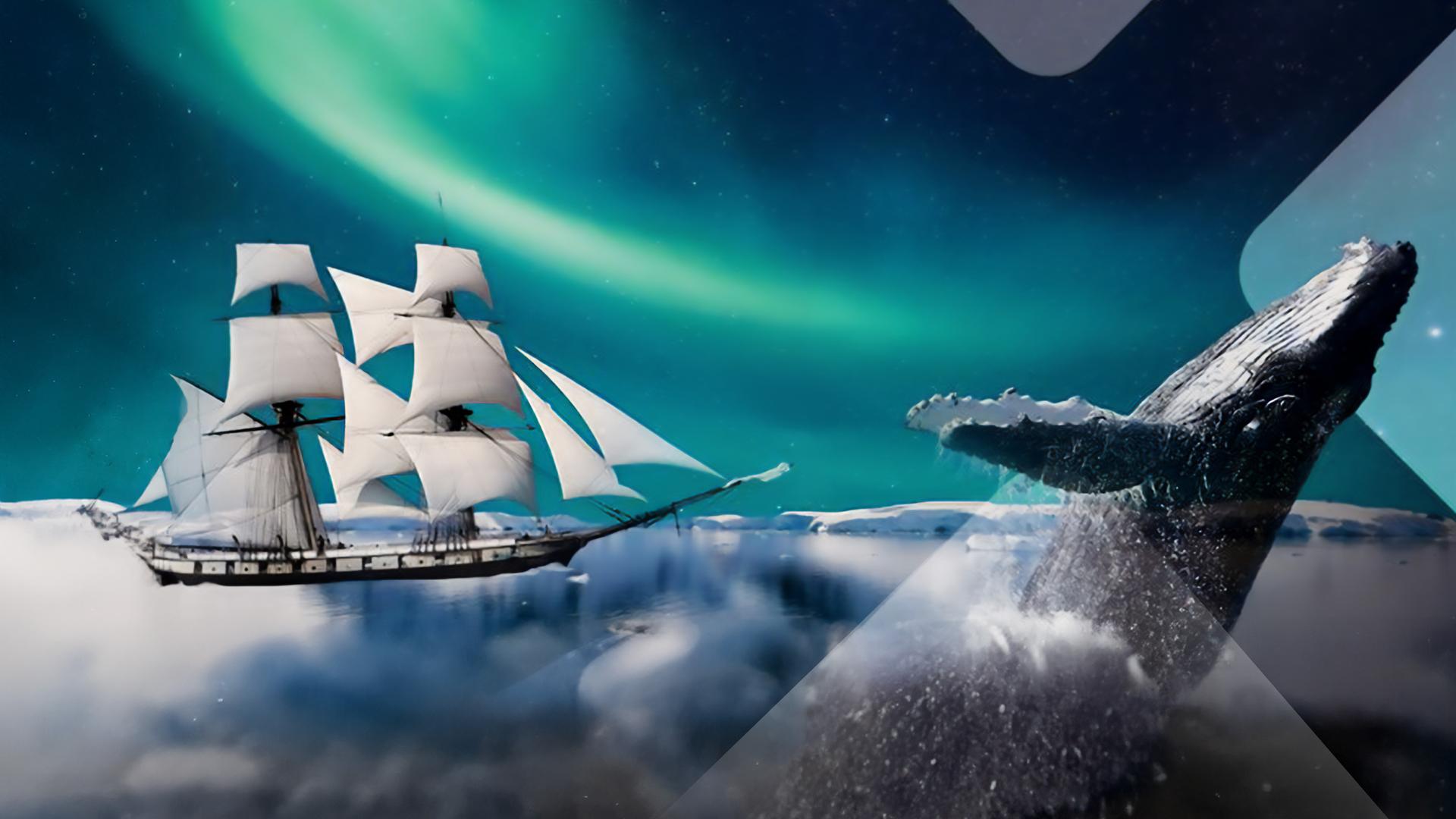 Terra X - die Einzeldokus