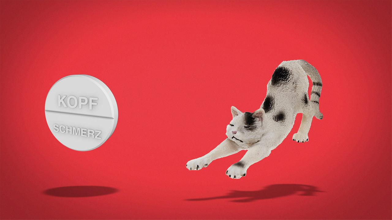 Standbild: Nicht nur gegen Kater: #Kopfschmerztabletten