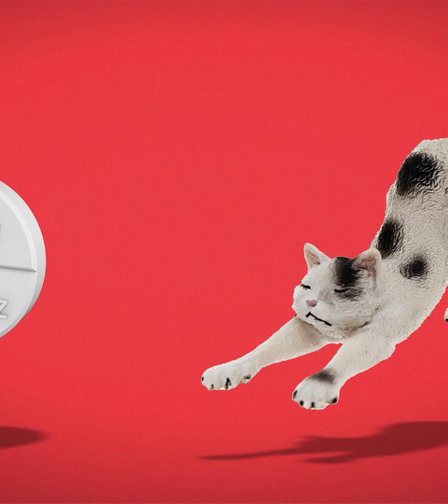 Standbild: Nicht nur gegen Kater: #Kopfschmerztabletten