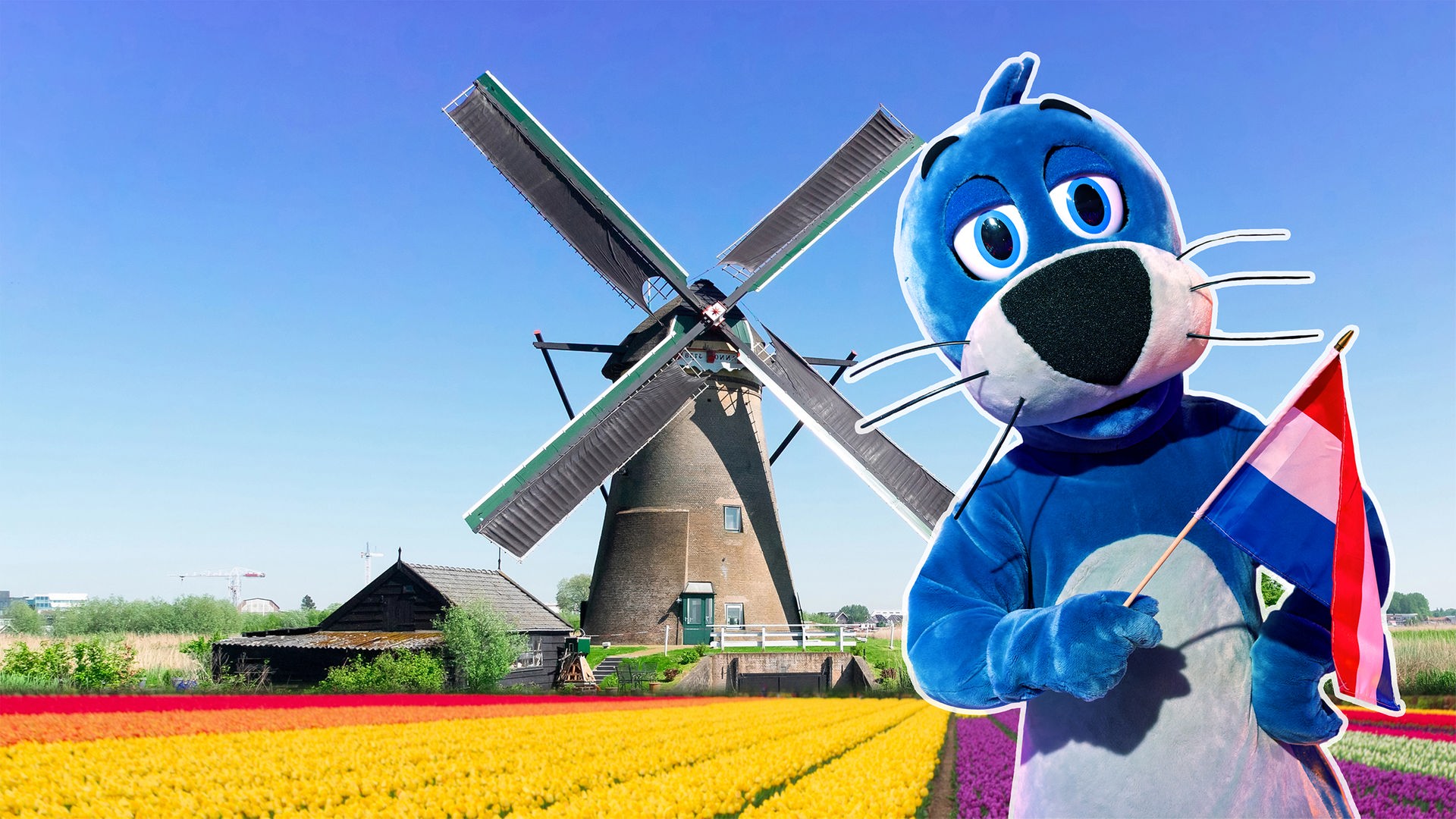 Maskottchen Piet in den Niederlanden: Er hält eine niederländische Flagge in der Flosse, links im Hintergrund eine Windmühle neben einem bunt bepflanzten Feld.