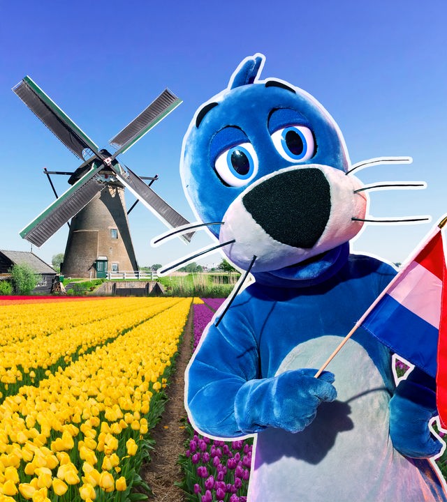 Maskottchen Piet in den Niederlanden: Er hält eine niederländische Flagge in der Flosse, links im Hintergrund eine Windmühle neben einem bunt bepflanzten Feld.