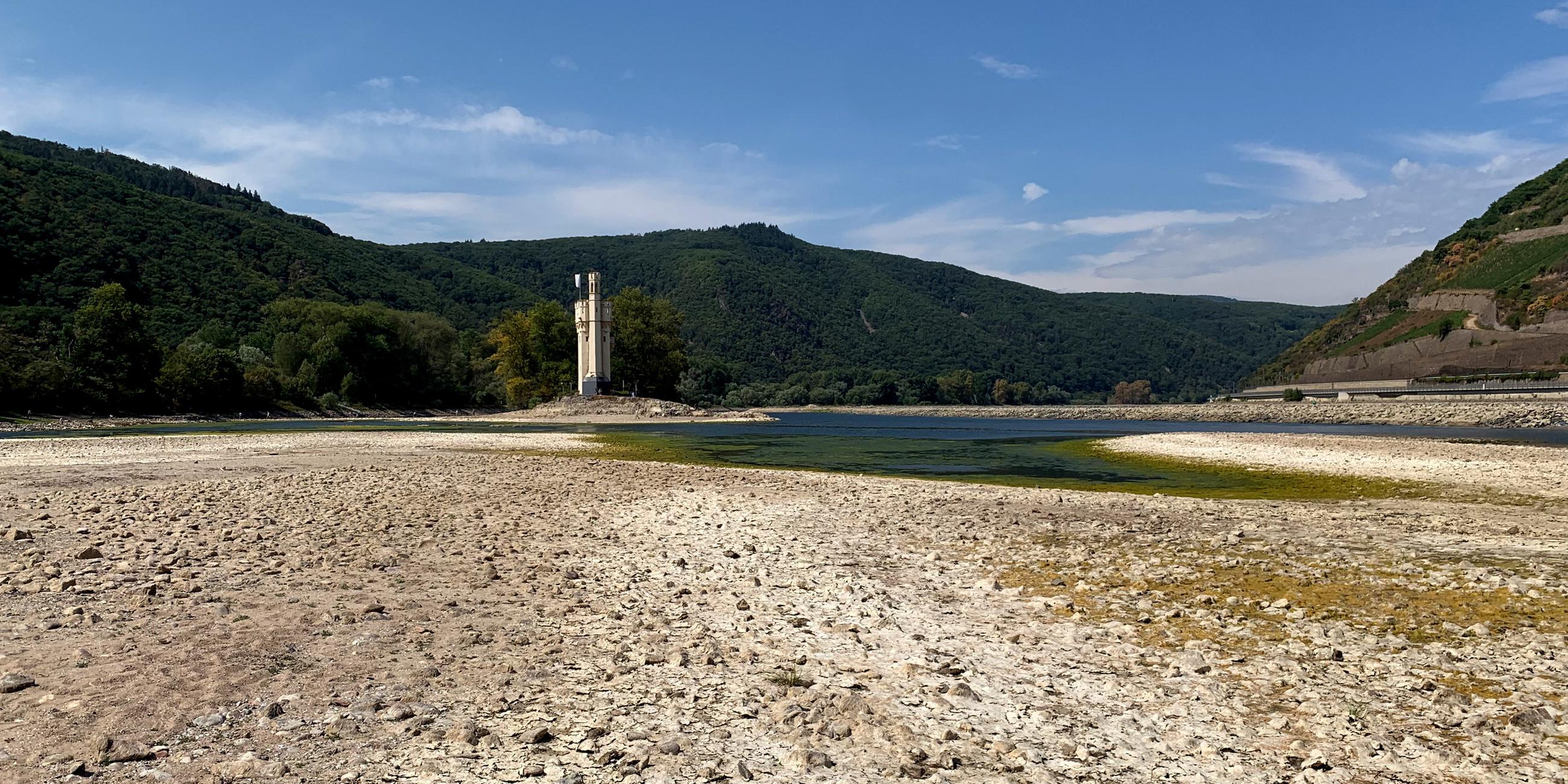 Niedrige Wasserstände im Rhein, Archivbild