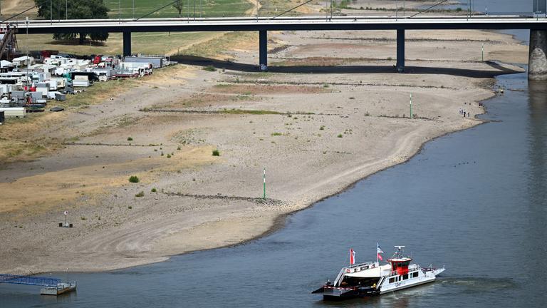Ein Schiff fährt am Rheinufer entlang. Aufgrund der Trockenheit führt der Rhein weniger Wasser.