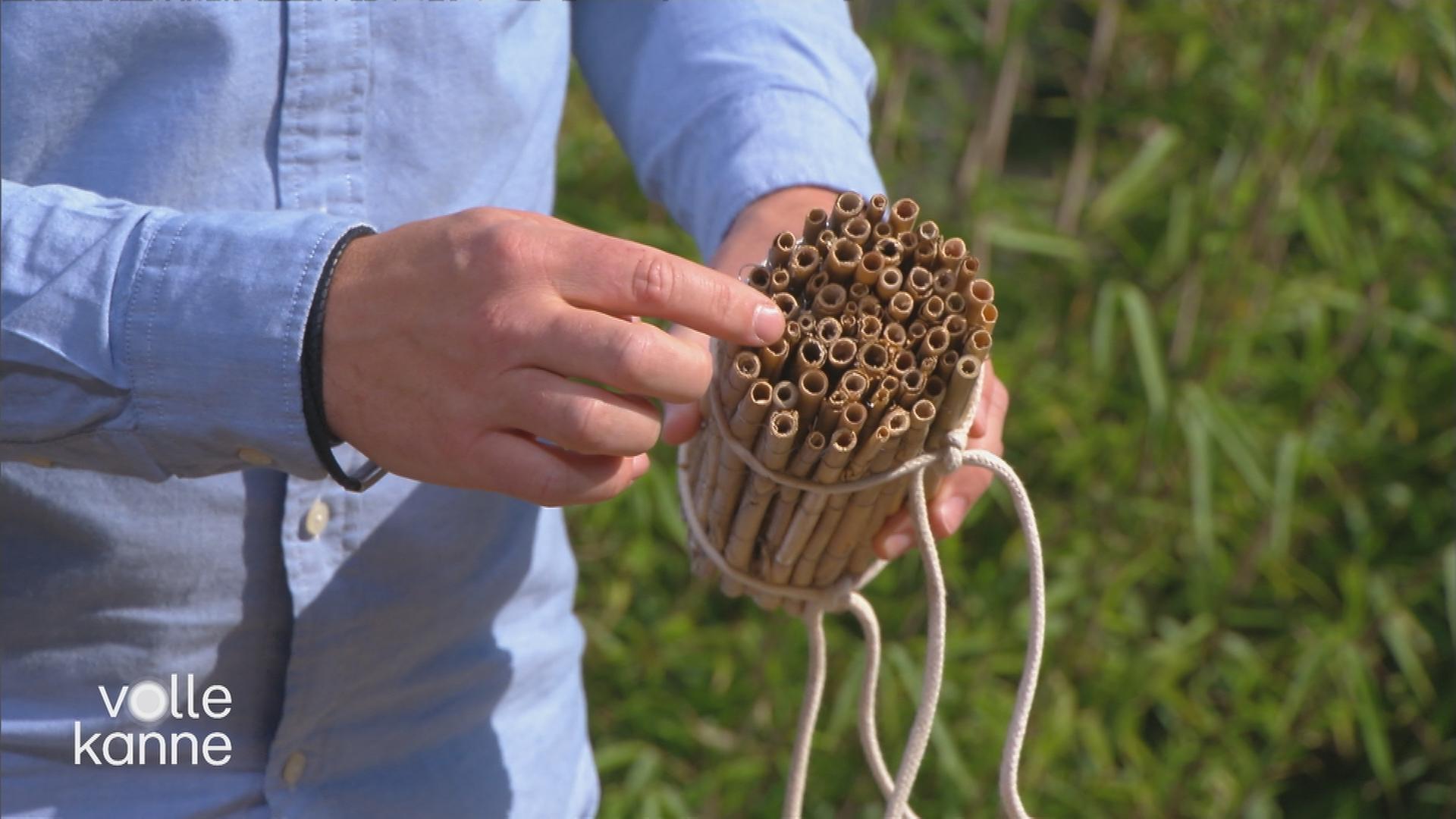 Nisthilfe aus Schilfrohren