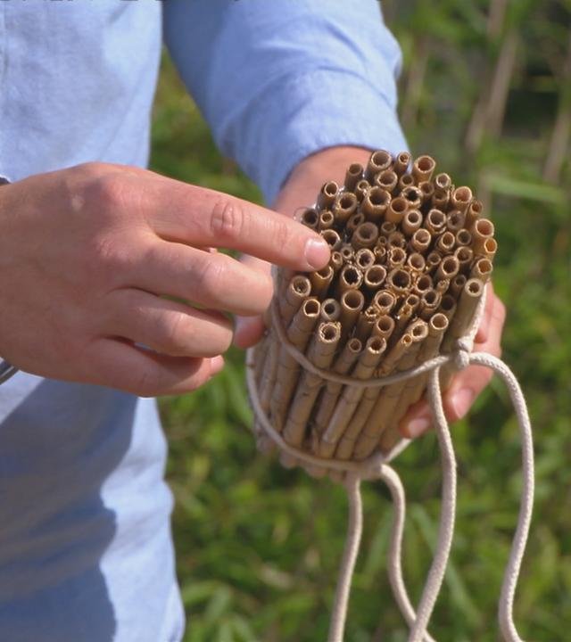 Nisthilfe aus Schilfrohren