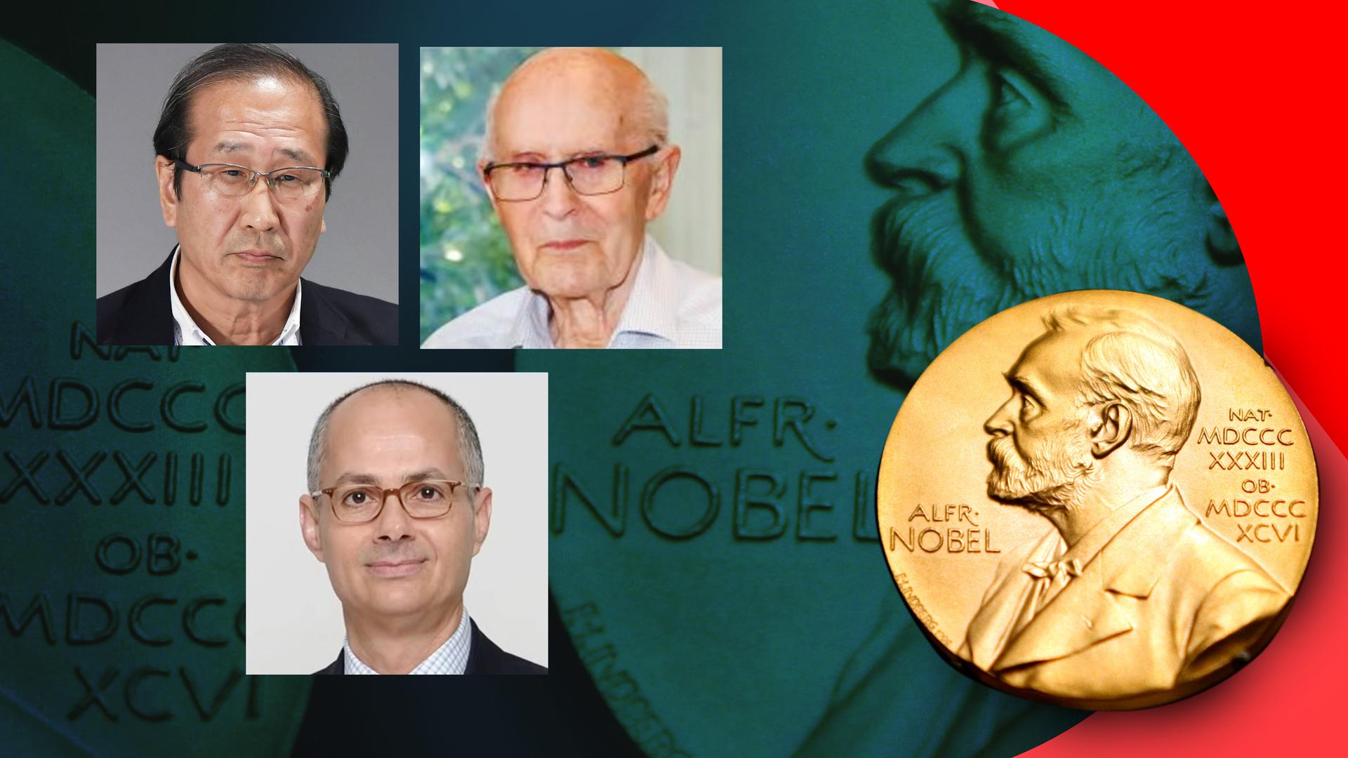 Susumu Kitagawa, Richard Robson und Omar M. Yaghi, Nobelpreis für Chemie