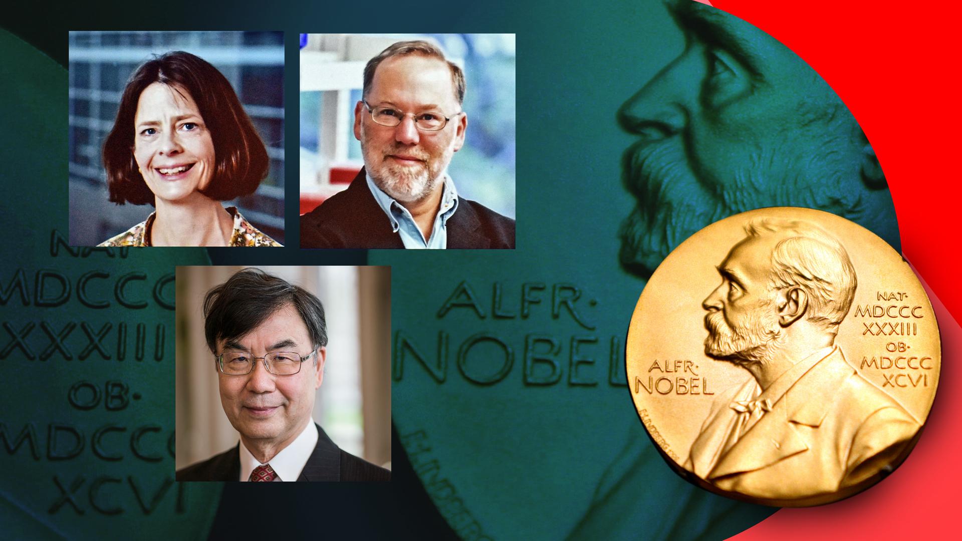 Mary E. Brunkow, Fred Ramsdell und Shimon Sakaguchi, Nobelpreis für Medizin 