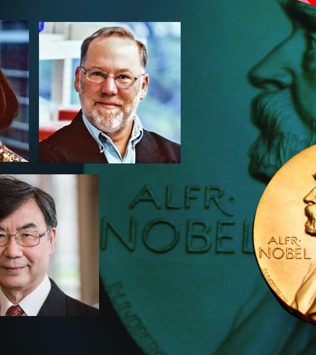 Mary E. Brunkow, Fred Ramsdell und Shimon Sakaguchi, Nobelpreis für Medizin 