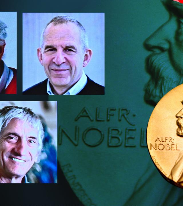 John Clarke, Michel H. Devoret und John M. Martinis die drei Physik-Nobelpreisträger 