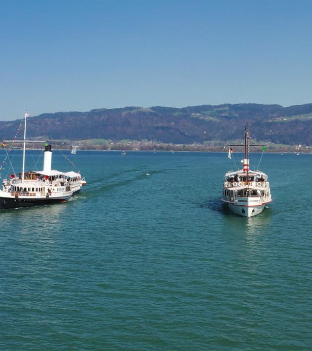 Im Bild sind zwei historische Schiffe auf dem Bodensee zu sehen. Der Schaufelraddampfer Hohentwiel und das Schiff MS Österreich fahren nebeneinander in ruhigem Wasser. Im Hintergrund sind sanfte Hügel sichtbar.