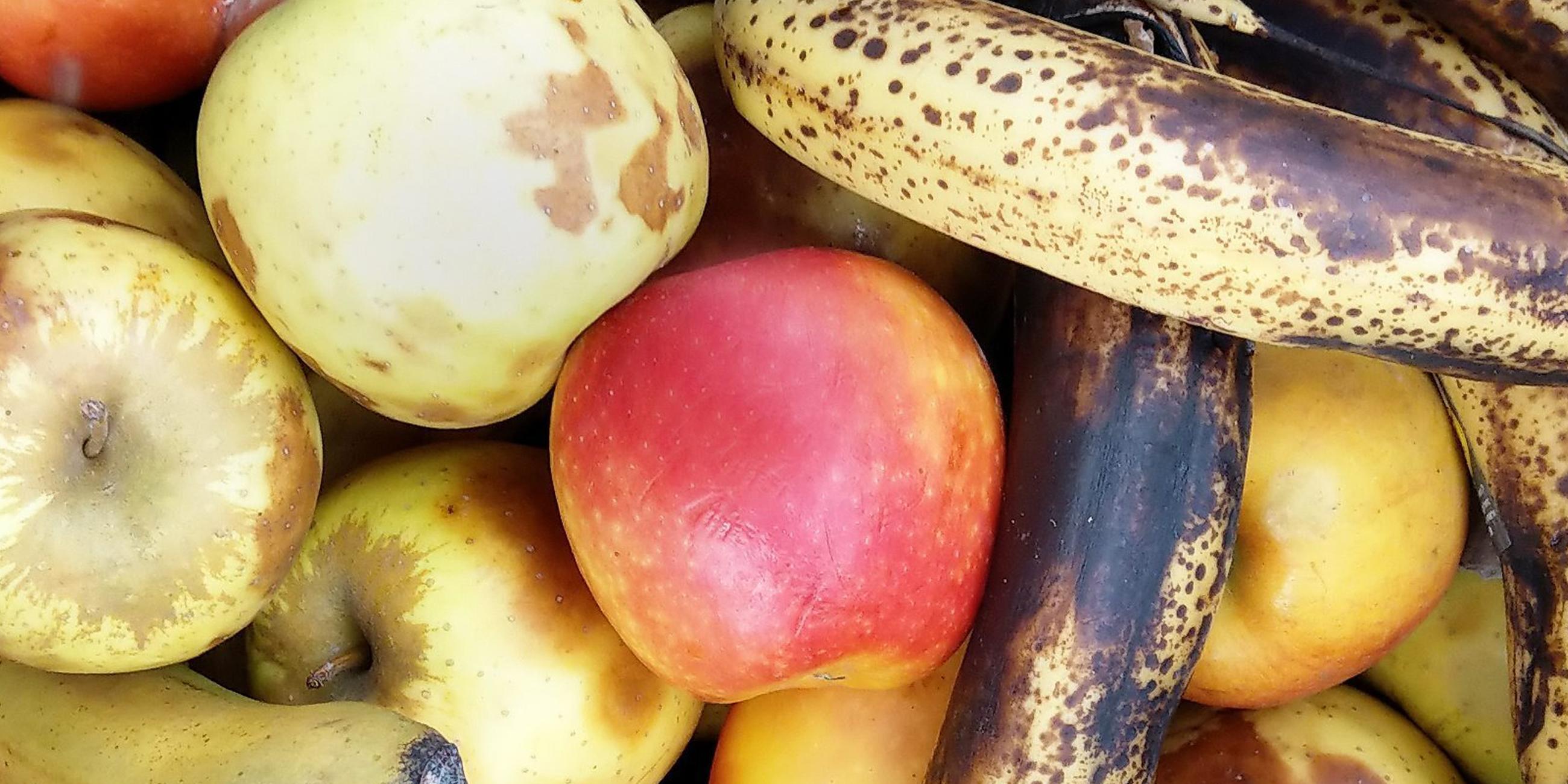 Äpfel und Bananen mit braunen Flecken und Druckstellen liegen am 08.08.2019 in der Mülltonne eines Supermarktes in Berlin.