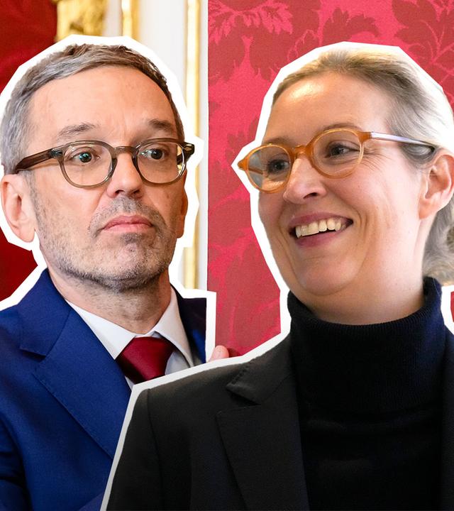 ZDFheute live: FPÖ Vorbild für AfD?