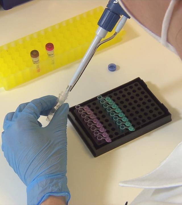 Österreich: mehr DNA-Tests 