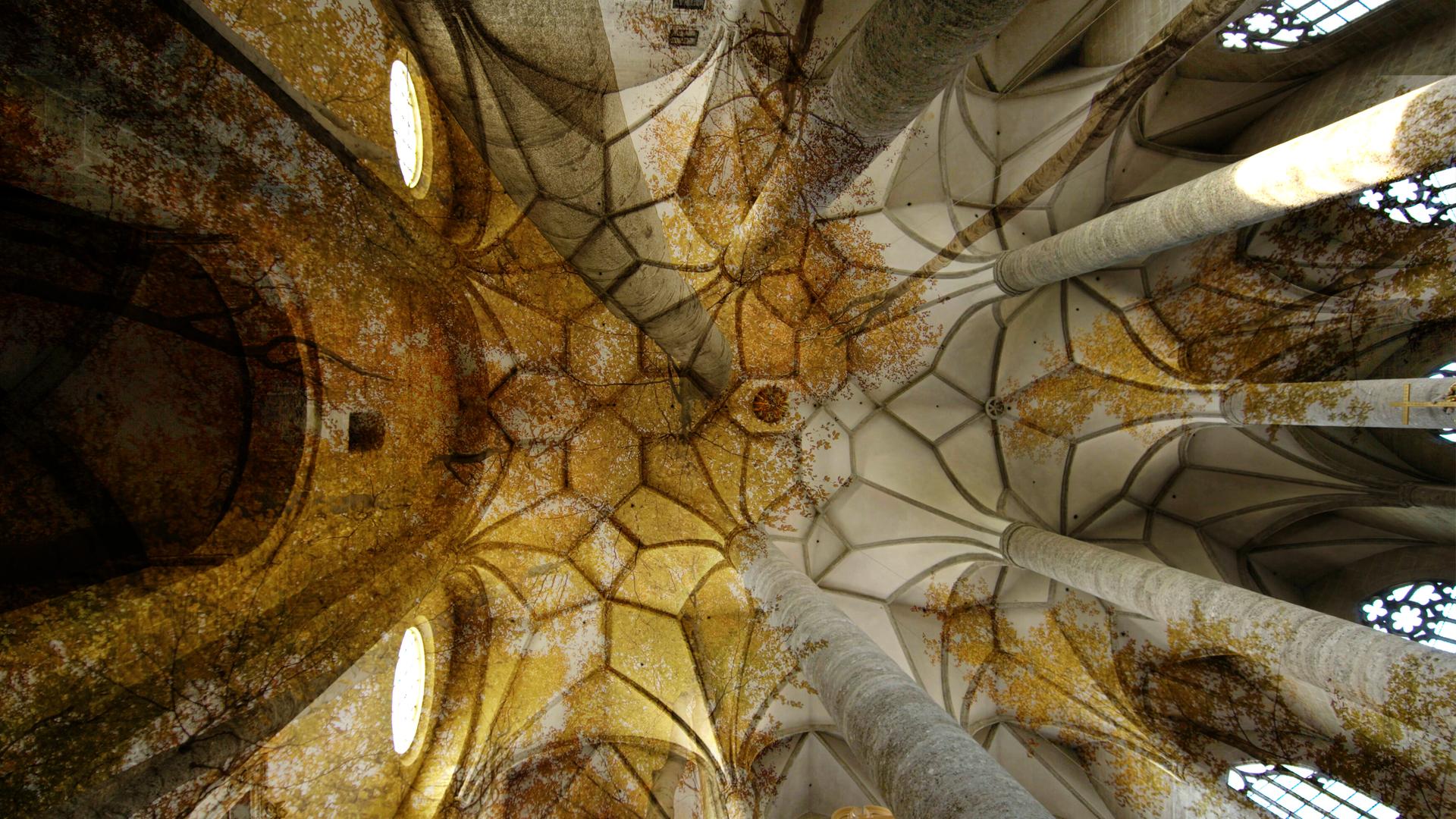 Österreichs Erbe für die Welt 