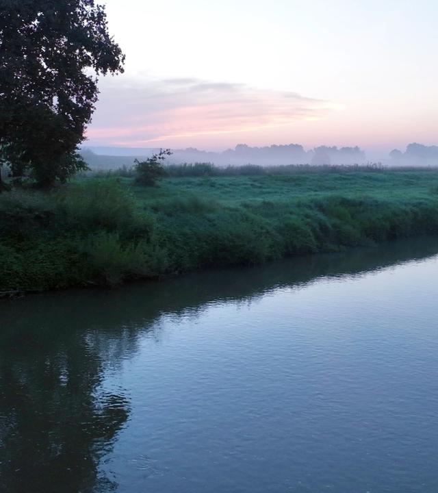 Ein Flusslauf mit Wiese und Bäumen im Morgennebel bei Sonnenaufgang
