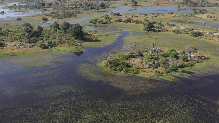 Okavangodelta aus der Vogelperspektive