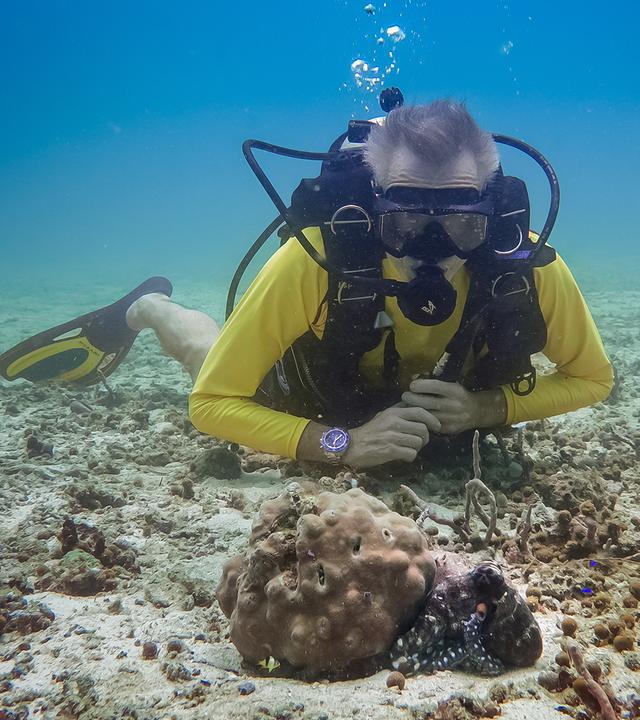 Hannes Jaenicke liegt beim Tauchen auf dem Grund und beobachtet eine Große Blaue Krake (Day Octopus).