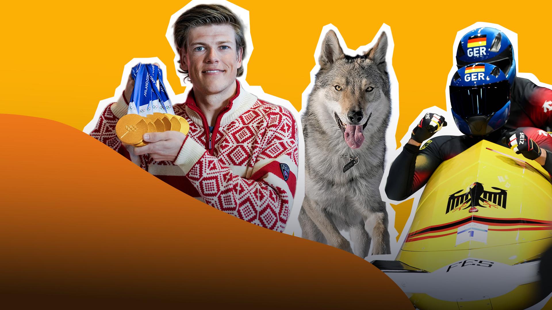 Bild für So verrückt war Olympia 2026!