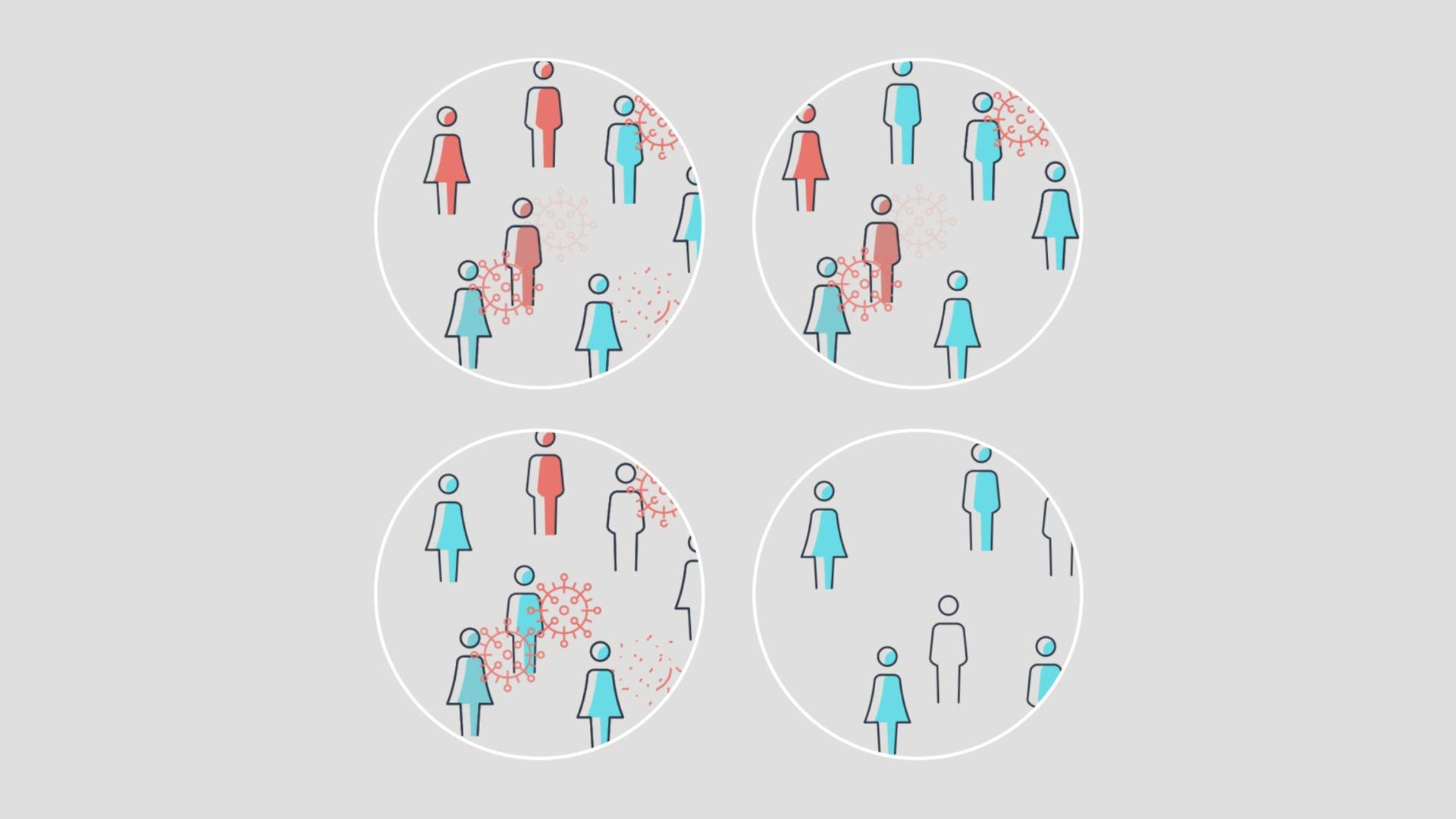 Auf der Illustration sind vier Kreise zu sehen. In den einzelnen Kreisen sind jeweils Pesonen rot (steht für infiziert) und blau (steht für immun).