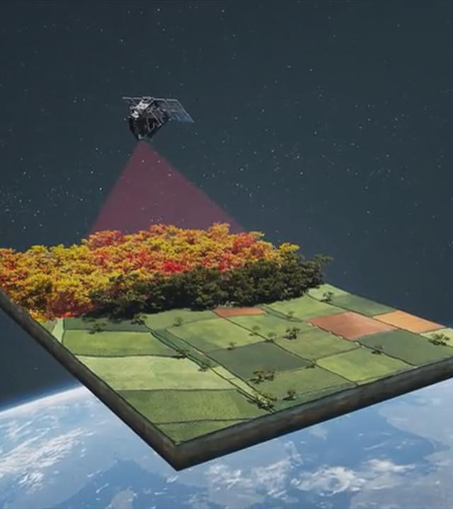 Man sieht eine Projektion von Land die von einem Satellit kommt 