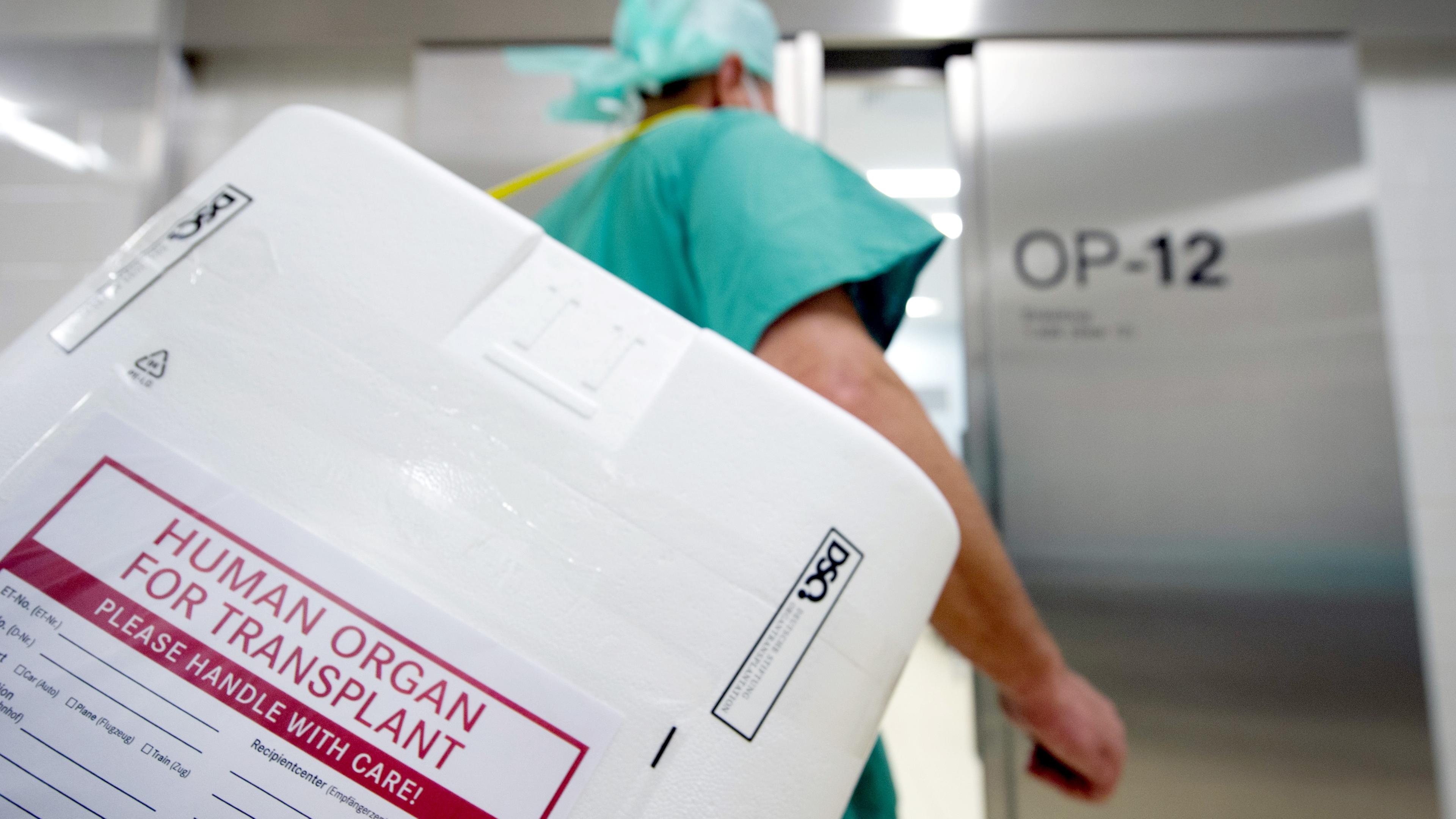 Archiv: Ein Styropor-Behälter zum Transport von zur Transplantation vorgesehenen Organen wird am Eingang eines OP-Saales vorbeigetragen.