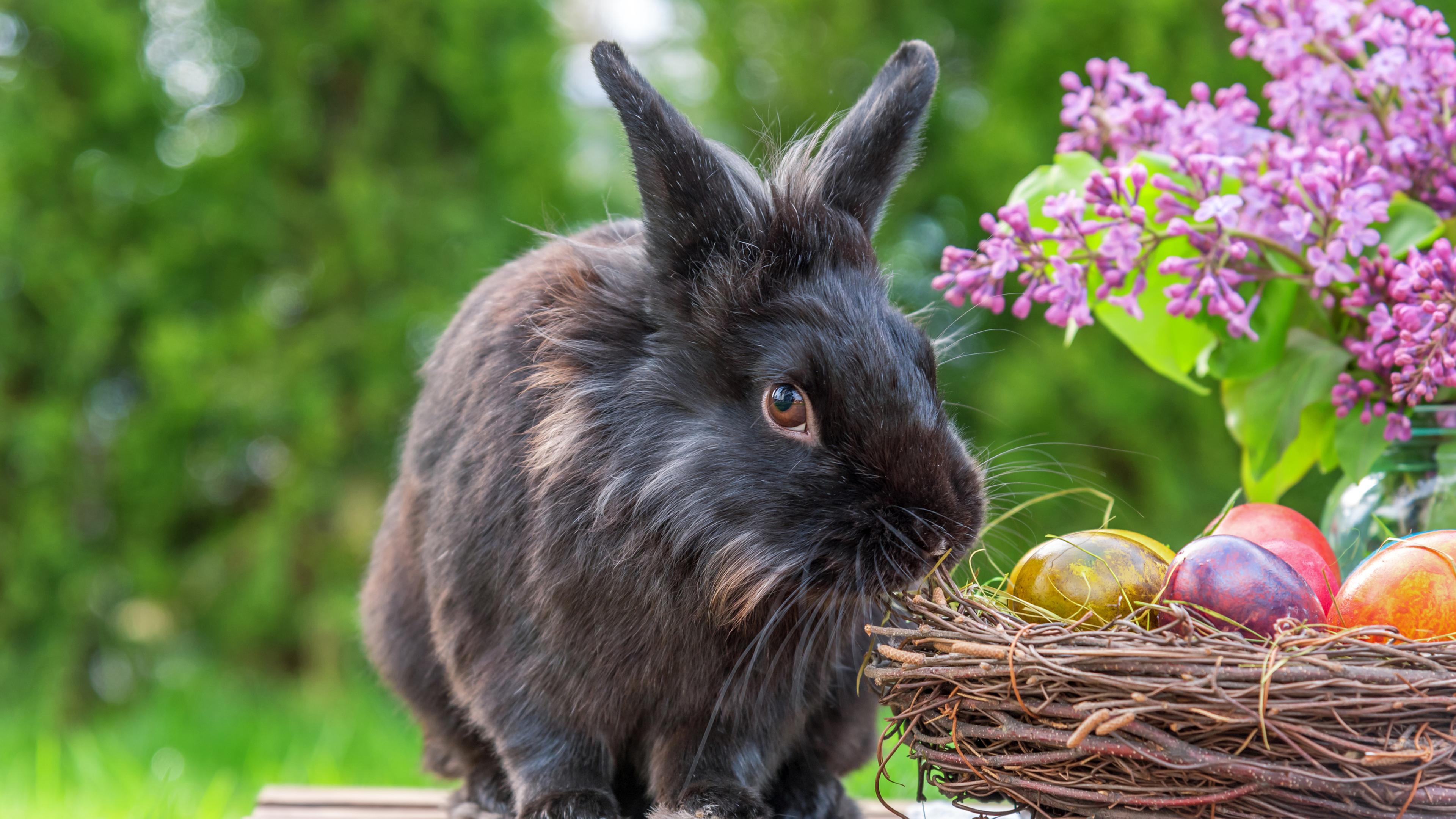 Ein Kaninchen neben einem Nest mit Ostereiern und Blumen.
