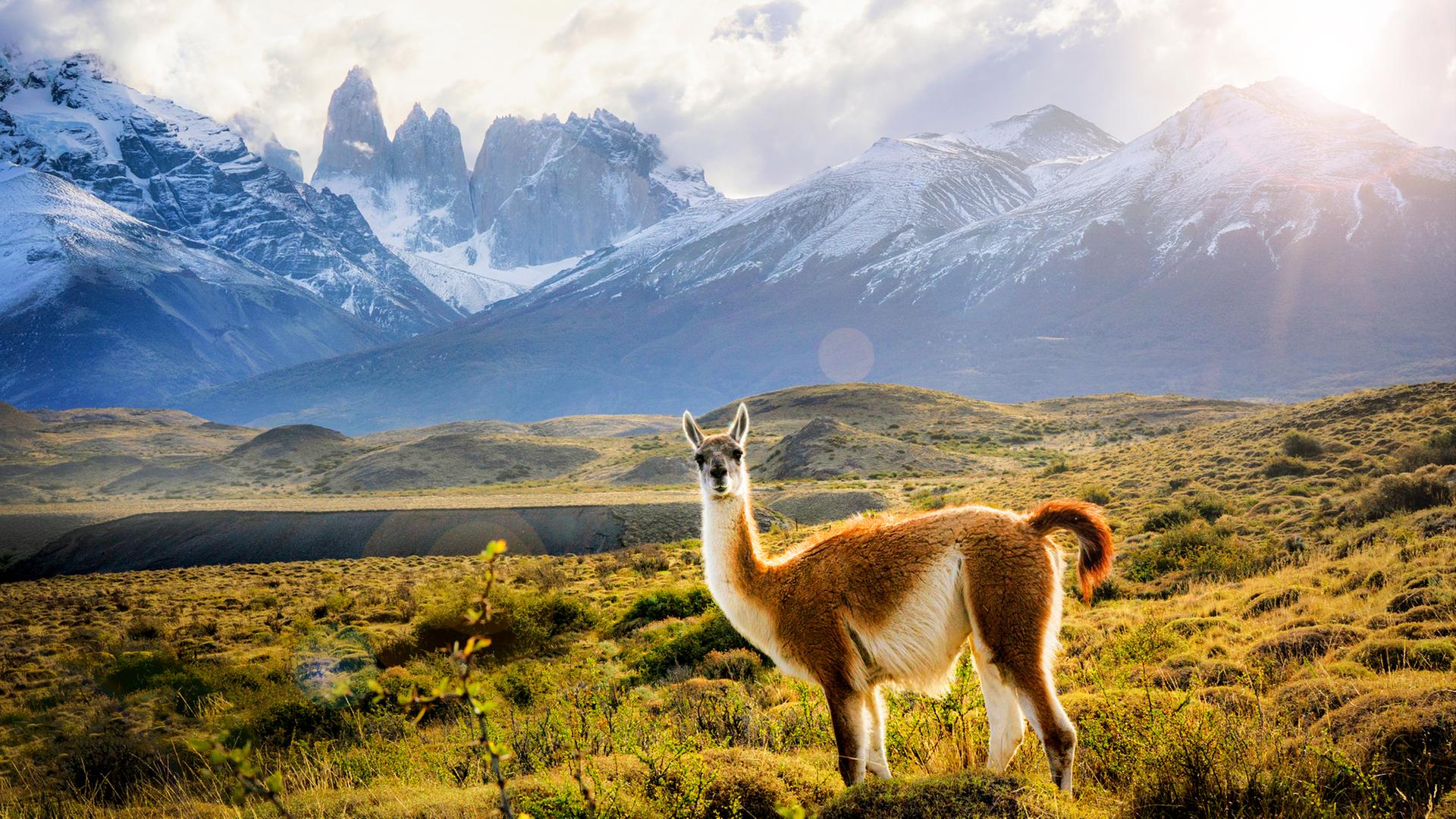 Gletscherbeobachtung in Patagonien