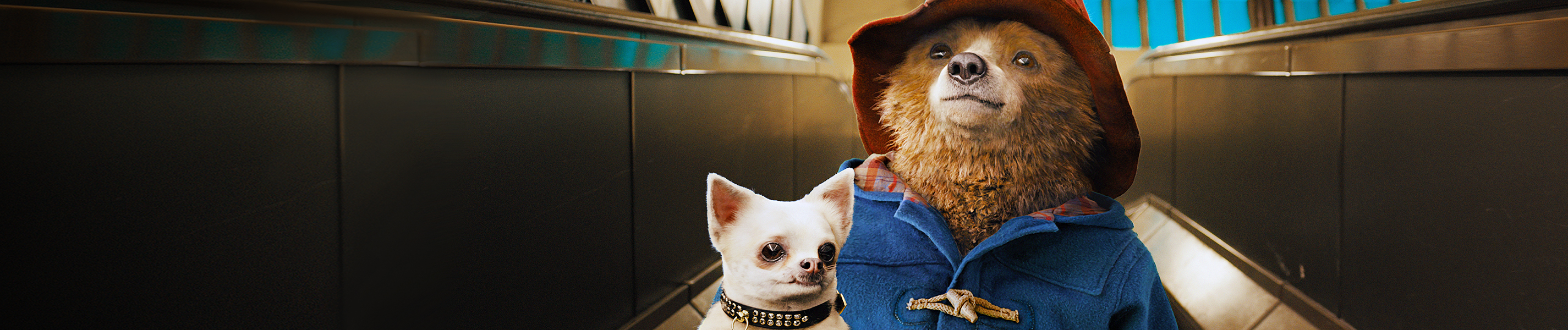 Paddington steht in seinem Dufflecoat und seinem Hut auf der Rolltreppe der U-Bahnstation. Unter dem Arm trägt er seinen Koffer und einen kleinen Hund.