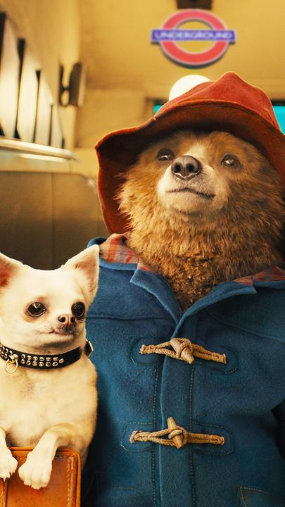 Paddington steht in seinem Dufflecoat und seinem Hut auf der Rolltreppe der U-Bahnstation. Unter dem Arm trägt er seinen Koffer und einen kleinen Hund.