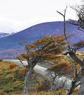 Standbild: Panamericana 7/7