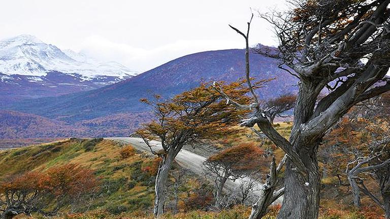 Standbild: Panamericana 7/7