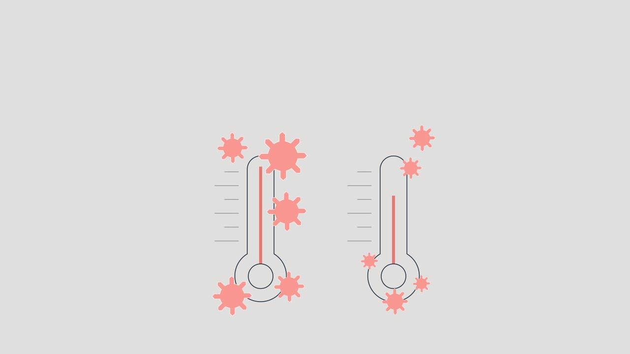 Zu sehen sind zwei Thermometer. Links ein Thermometer mit vielen Viren. Das steht symbolisch für die Pandemie. Rechts ein Thermometer mit wenigen Viren. Das steht symbolisch für die Endemie.
