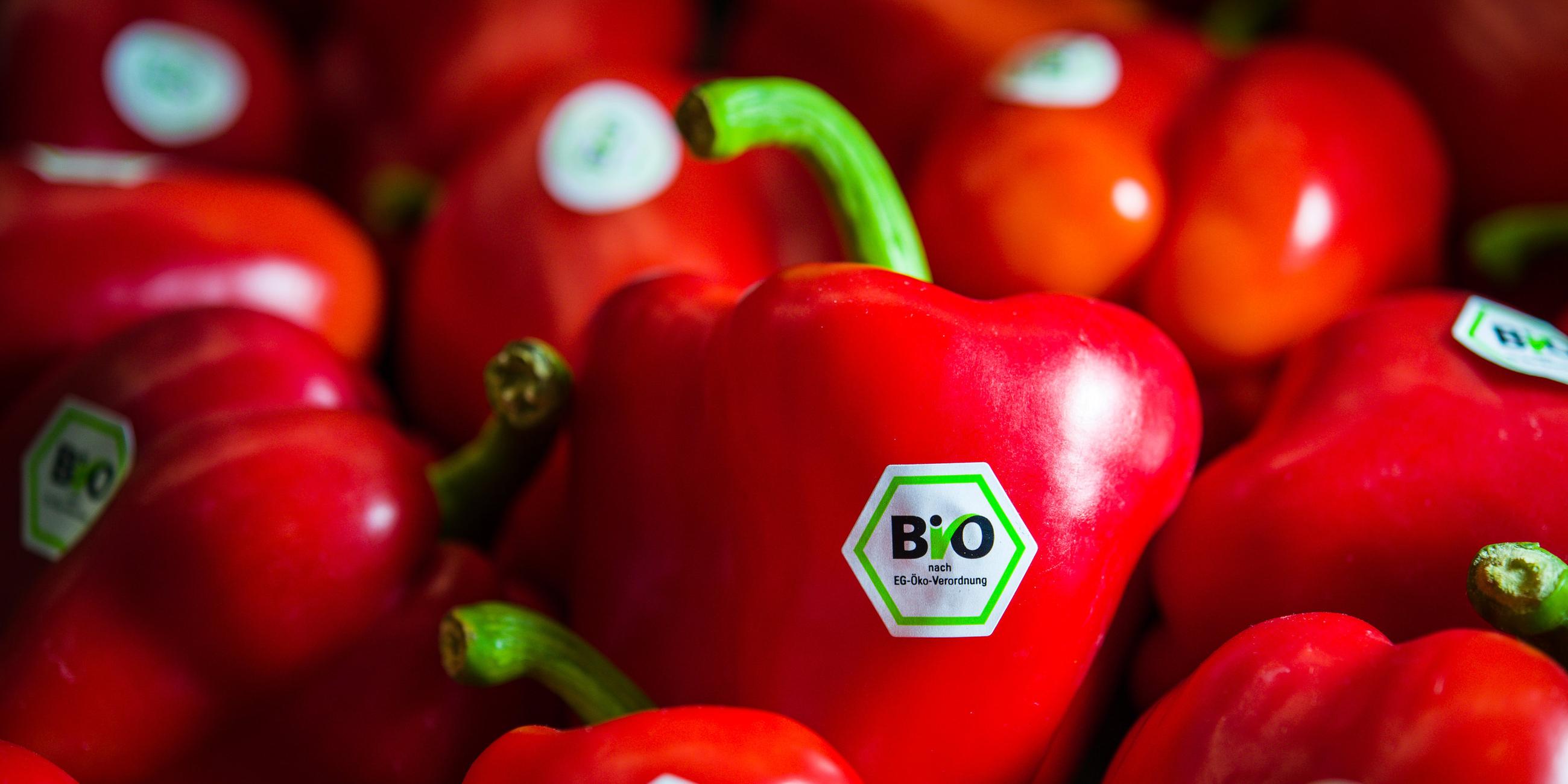 Frische rote Paprikas mit grün-weißen Stickern der Aufschrift Bio.