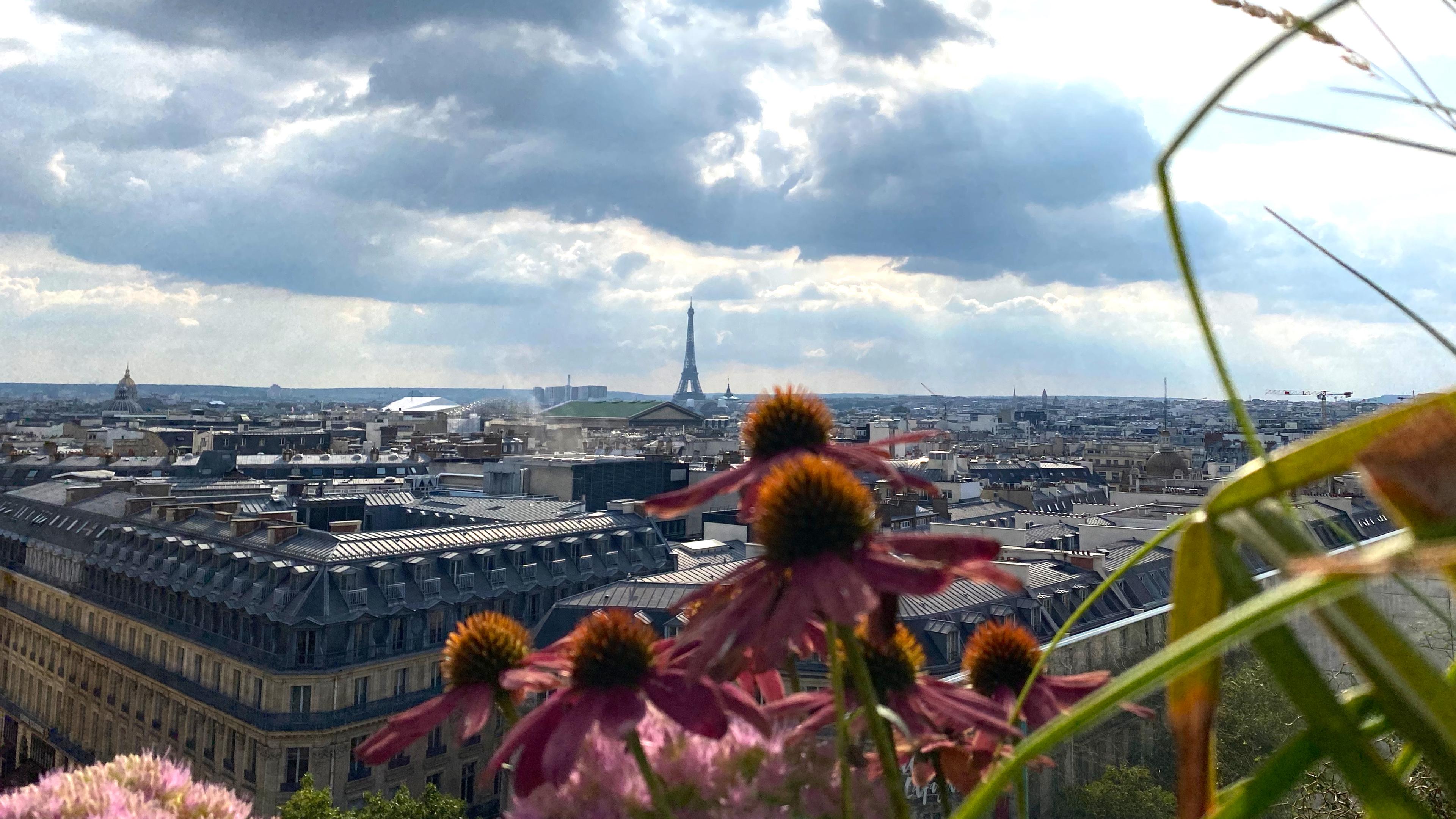 Blumen im Anschnitt vor Panoramablick über die Dächer von Paris mit Eiffelturm 