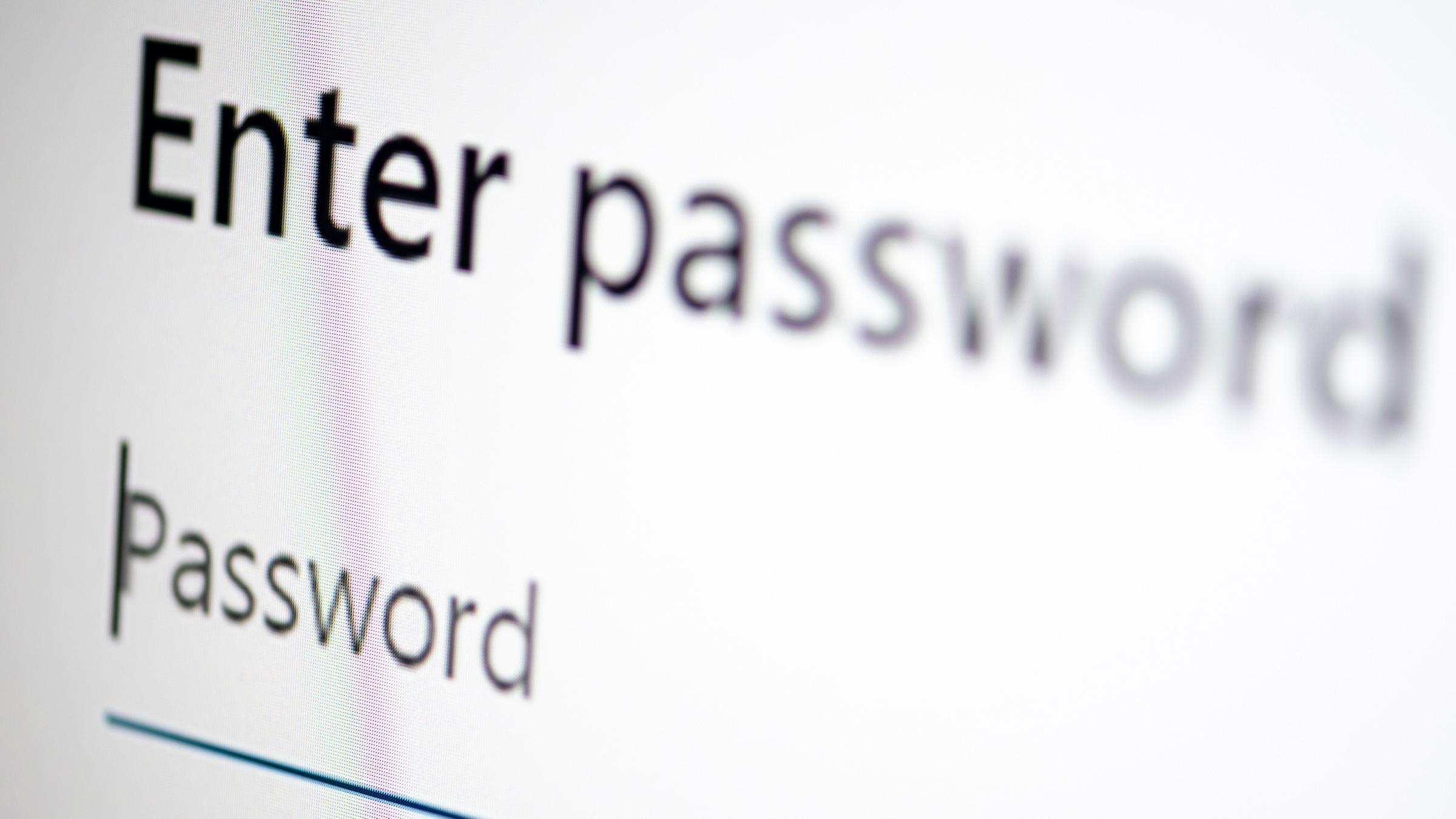 Passwort Symbolbild: Auf dem Bildschirm eines Laptops sieht man die Dialog-Box eines Passworts