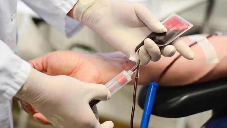 Blutspendeverbot für Schwule soll fallen