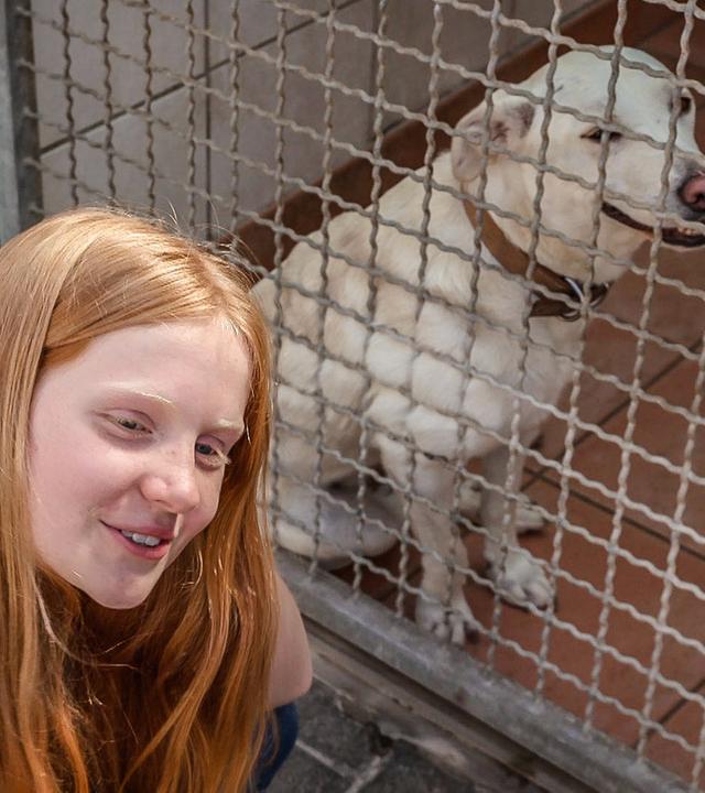 Paula - Neuer Hund, neues Glück