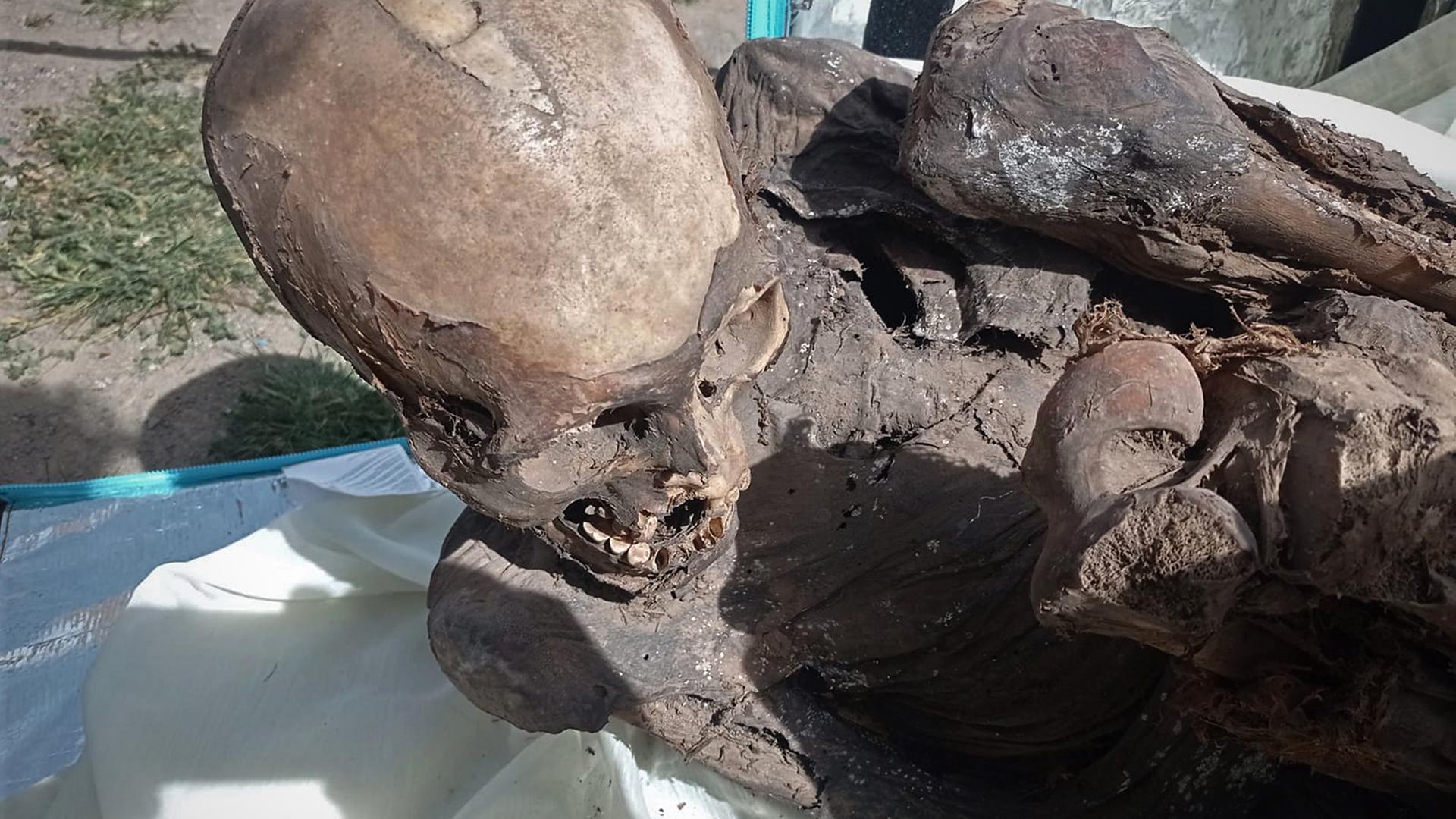 Eine prähispanische Mumie, die zwischen 600 und 800 Jahre alt ist und in einer Kühlbox gefunden wurde, die einem Zusteller in Puno (Peru), gehörte, aufgenommen am 28.02.2023 