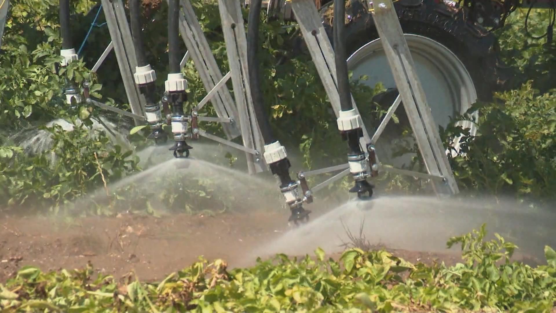 Pestizid-Beschränkungen in Frankreich	