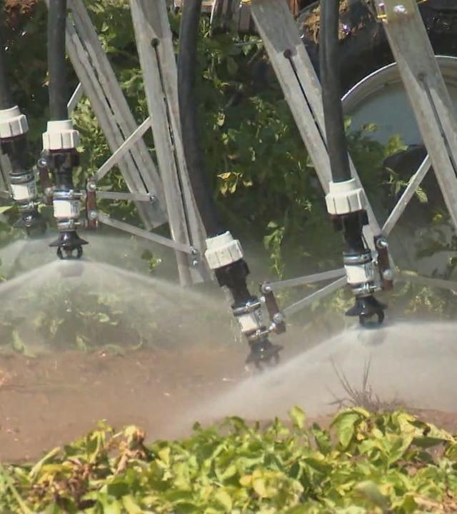 Pestizid-Beschränkungen in Frankreich	