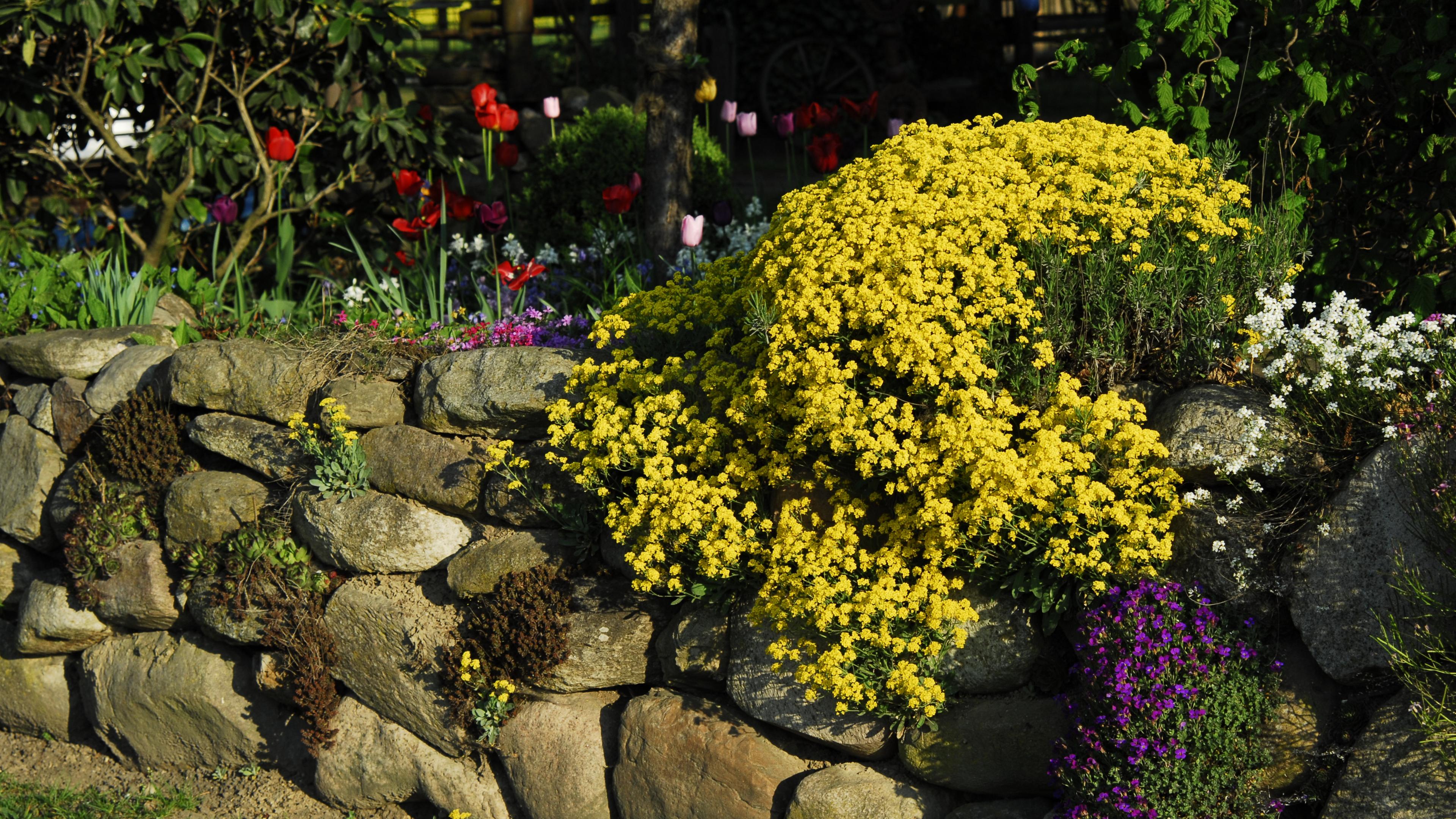 Eine Steinmauer in einem Garten mit diversen Blumen- und Pflanzenarten.