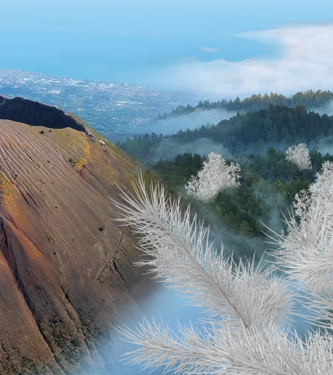 Collage Vesuv und Geisterbäume