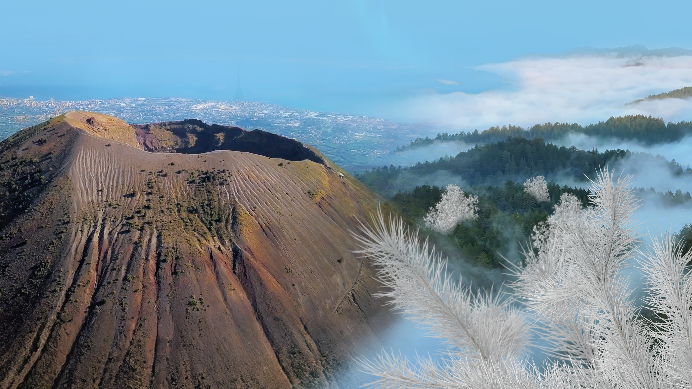 Collage Vesuv und Geisterbäume