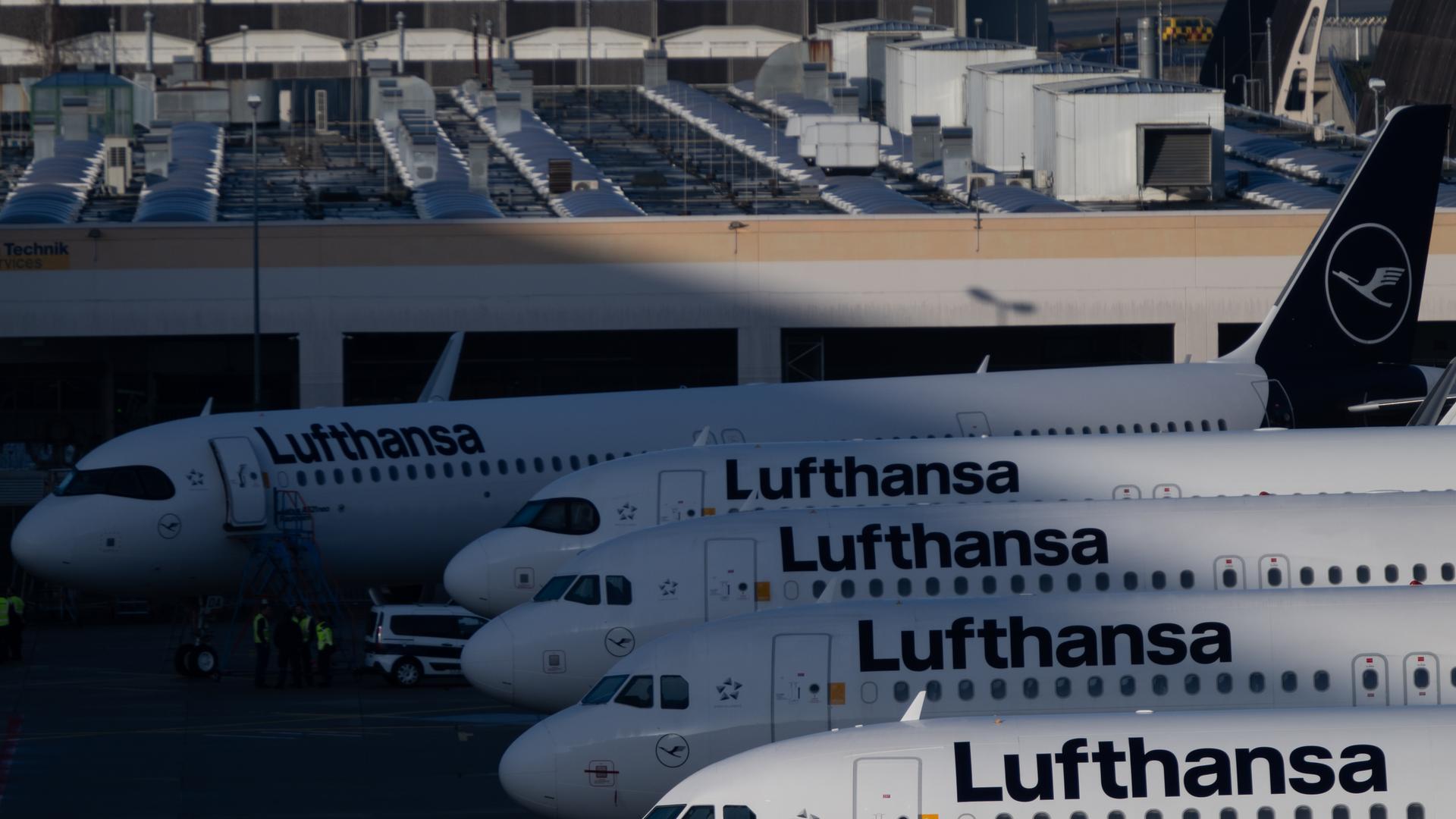 Passagierflugzeuge der Lufthansa stehen auf dem Flughafen Frankfurt.