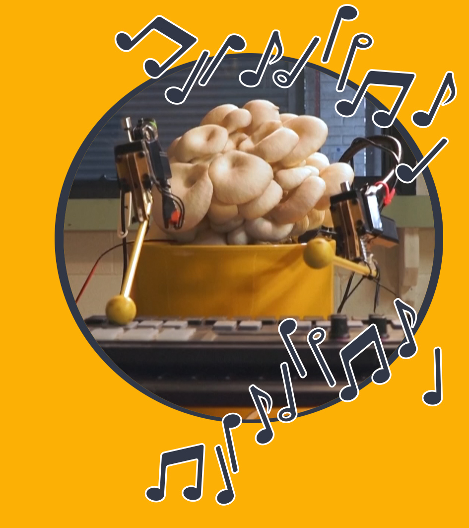 Pilze und Pflanzen machen Musik