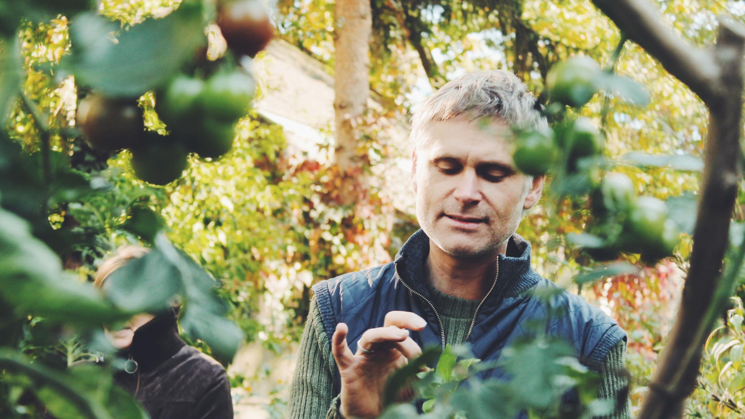 "plan b: Frisch auf den Tisch - Gärtnern für die Selbstversorgung": Martin Höfft schaut nach den Pflanzen im Permakultur-Garten.