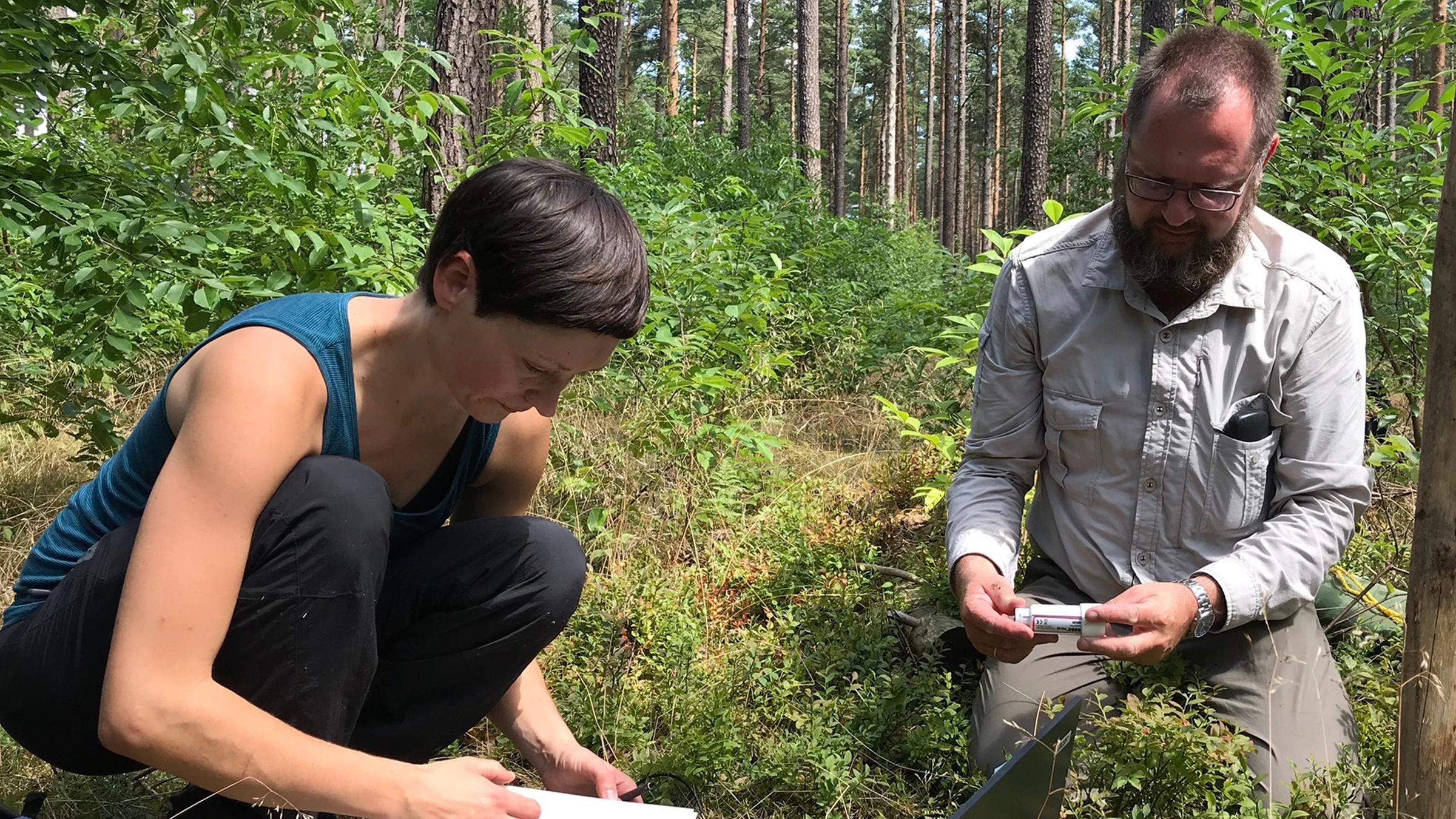 Jeanette Blumröder und Pierre Ibisch knien inmitten eines Waldes vor einem Laptop und lesen Daten aus