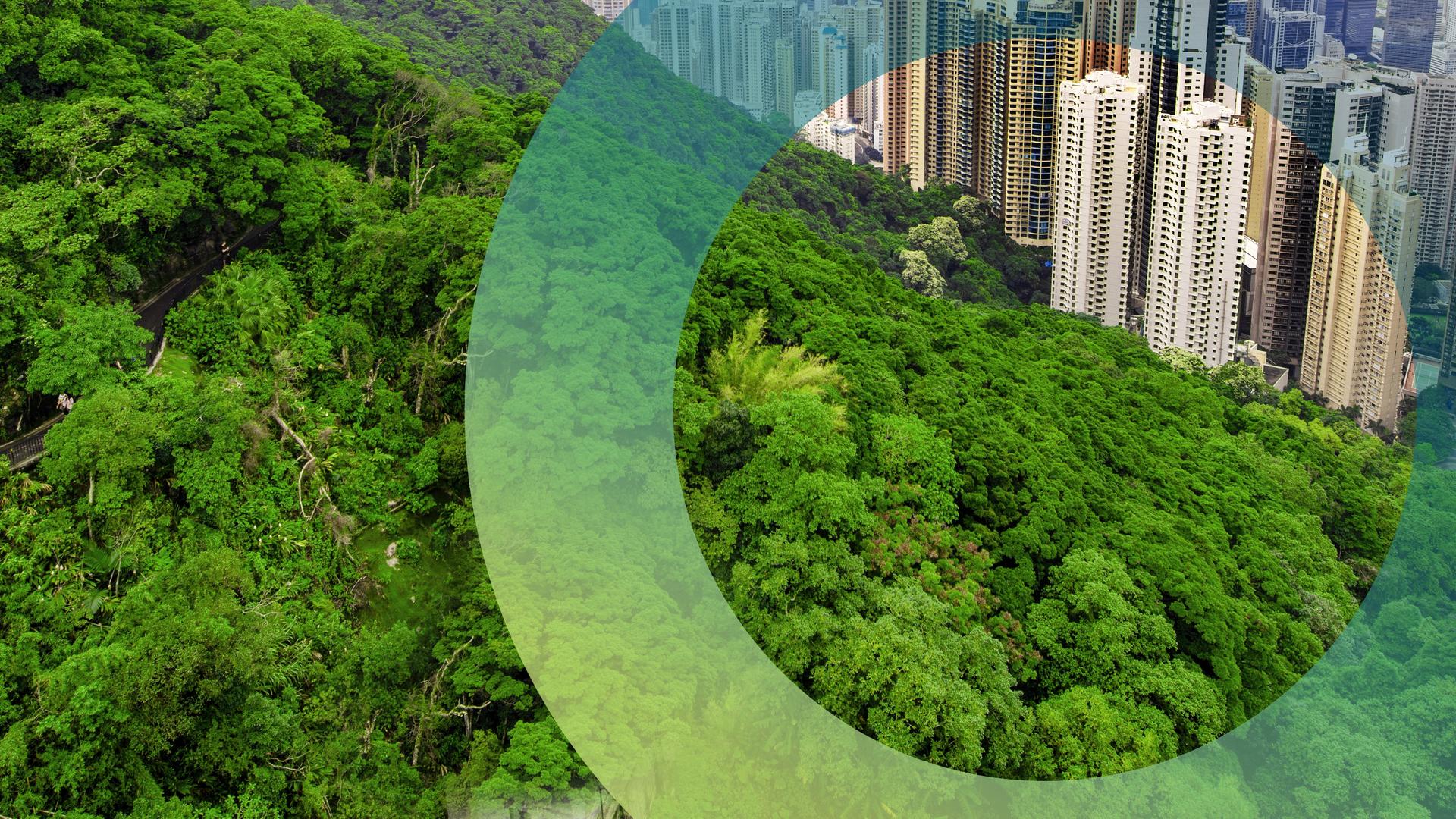 Skyline von Hongkong