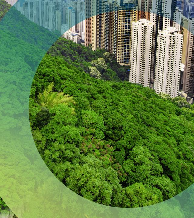 Skyline von Hongkong